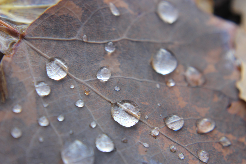 so schön kann Regen sein