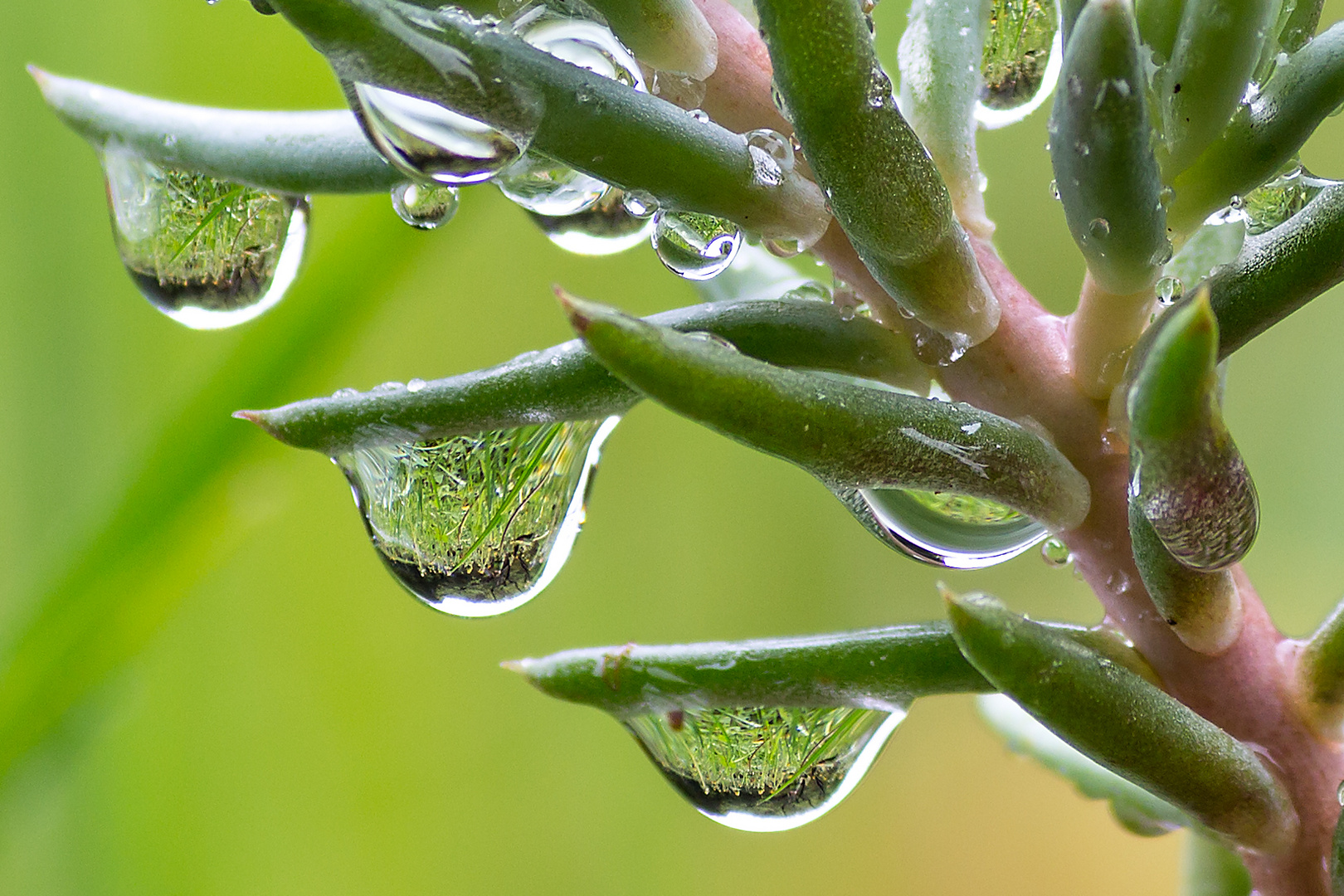 So schön kann Regen sein...