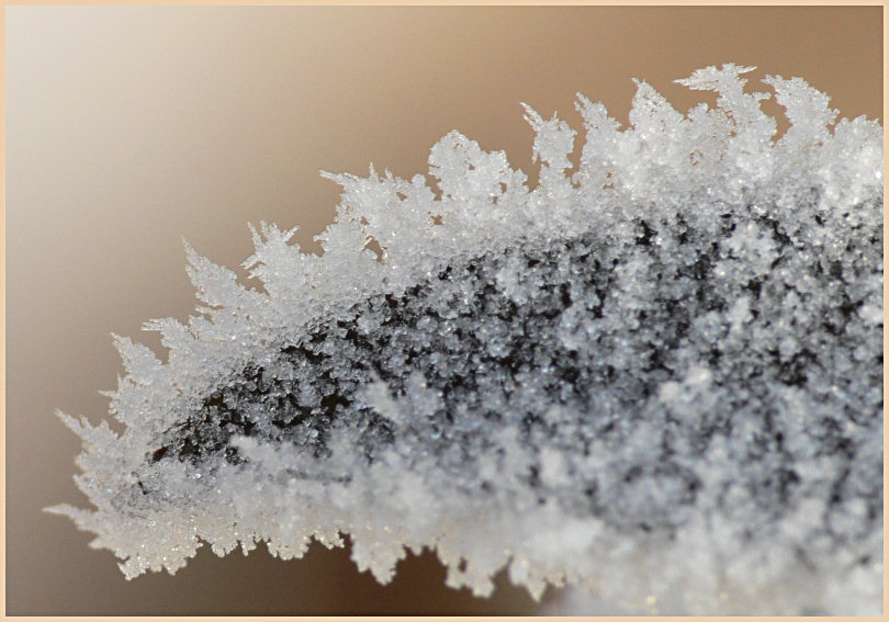 So schön kann Winter sein