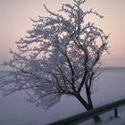 So schön kann Winter sein