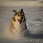 So schön kann Winter sein...