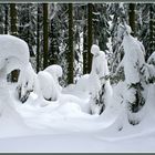 So schön kann Winter sein