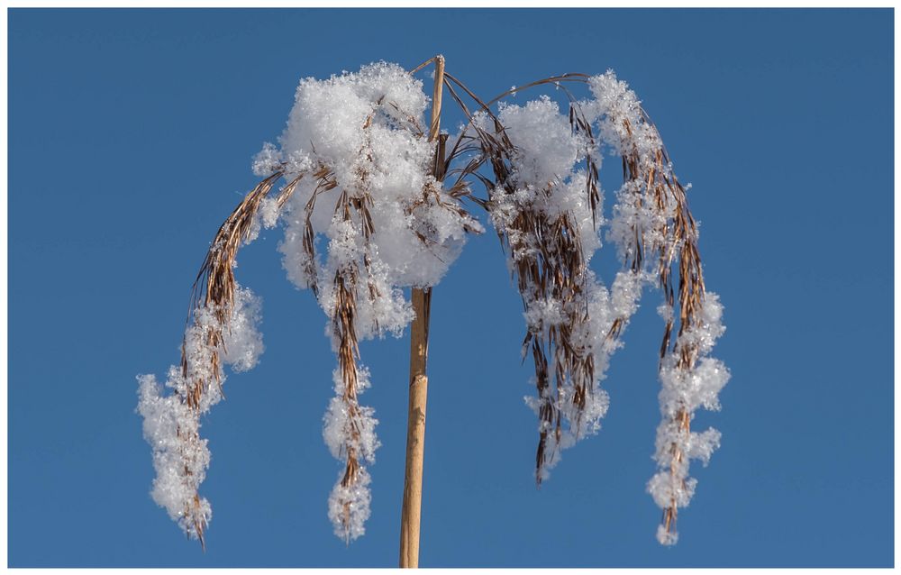 so schön kann Winter sein