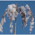 so schön kann Winter sein