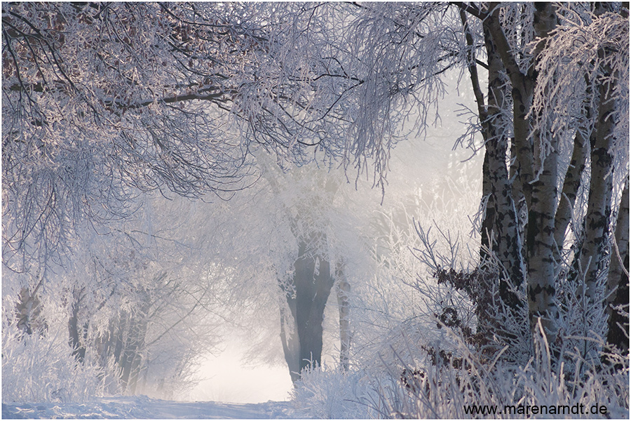 So schön kann Winter sein