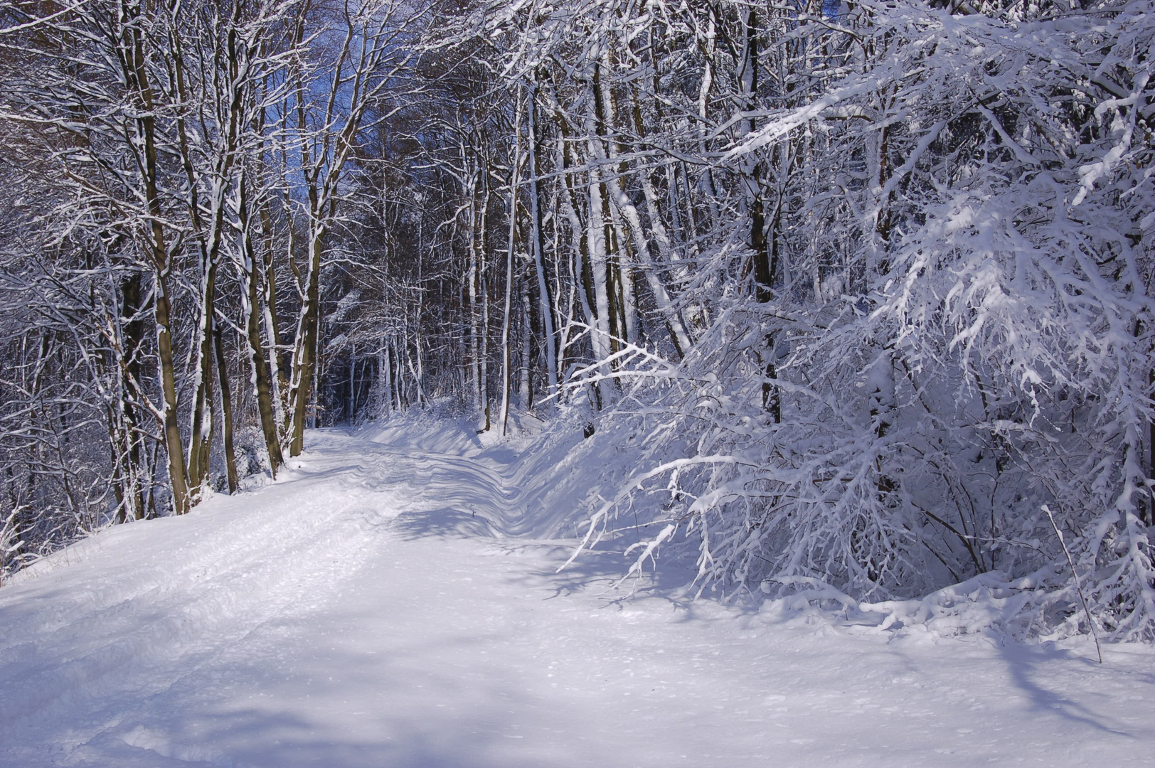 So schön kann Winter sein