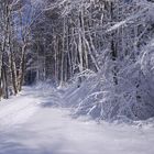 So schön kann Winter sein