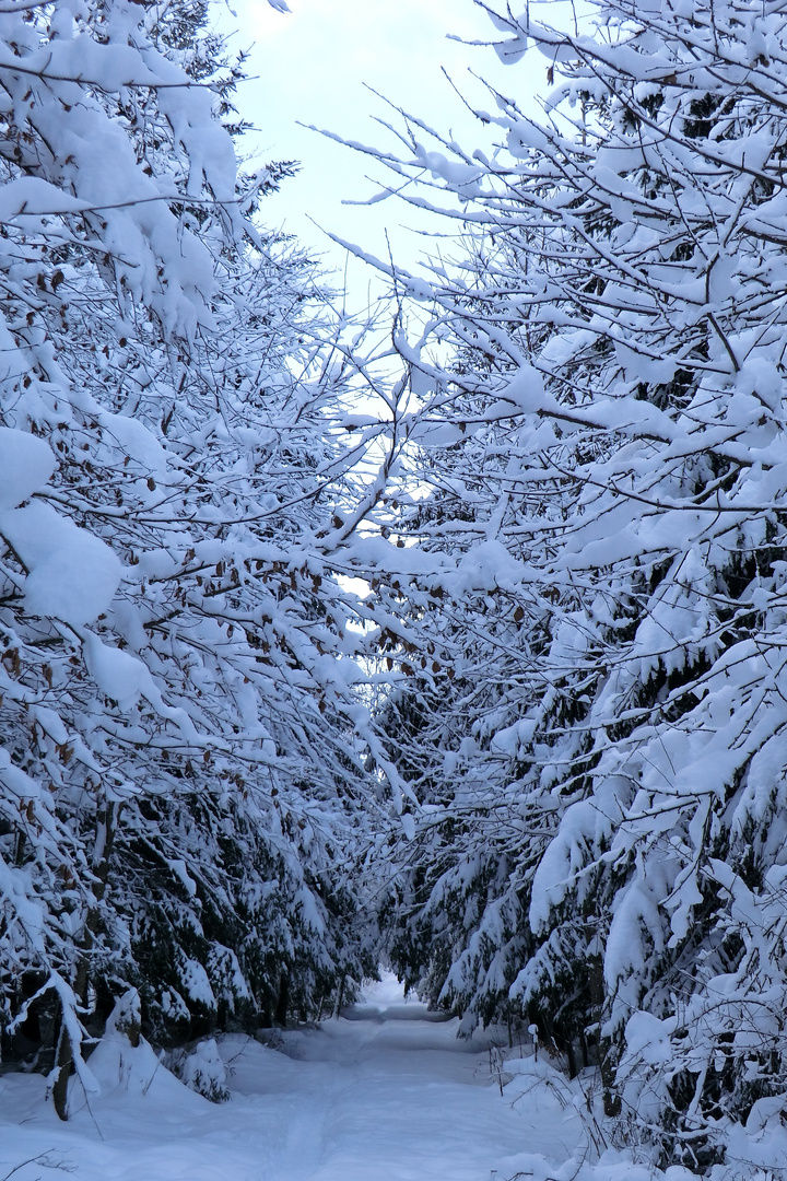 so schön kann Winter sein ...