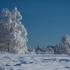 So schön kann Winter sein