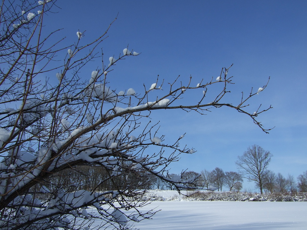 So schön kann Winter sein