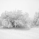 so schön kann Winter sein....