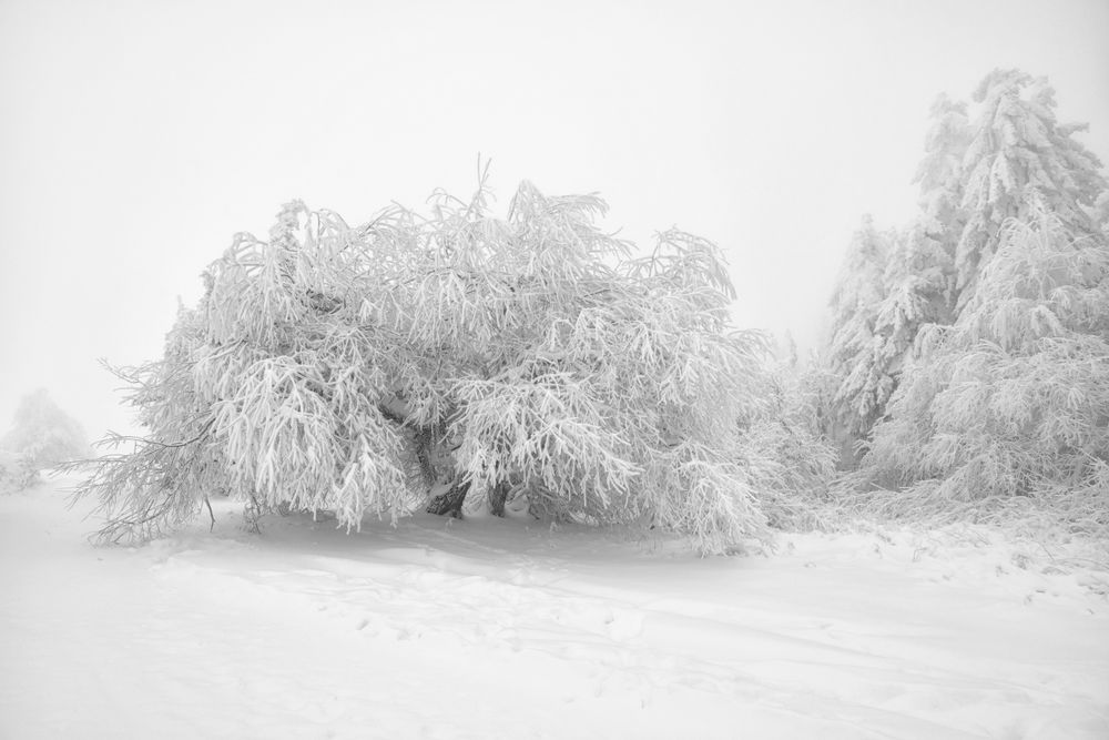 so schön kann Winter sein....