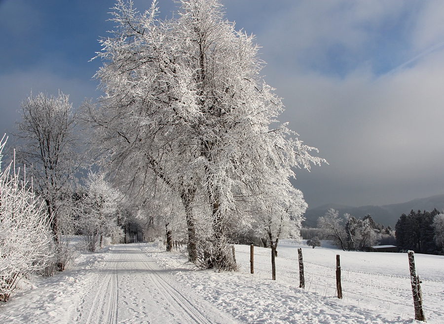 So schön kann Winter sein