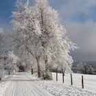 So schön kann Winter sein