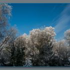 So schön kann Winter sein