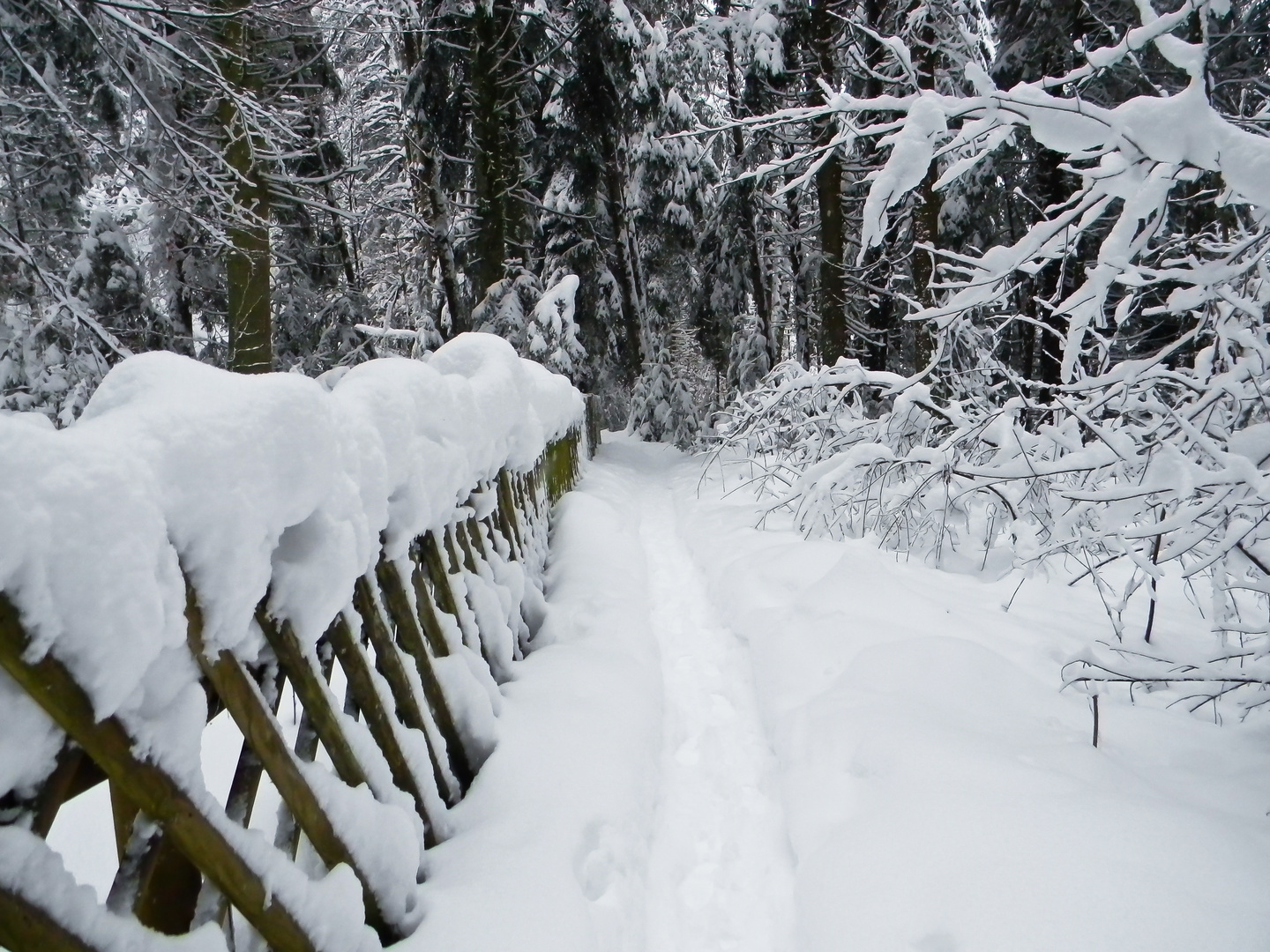 so schön kann Winter sein