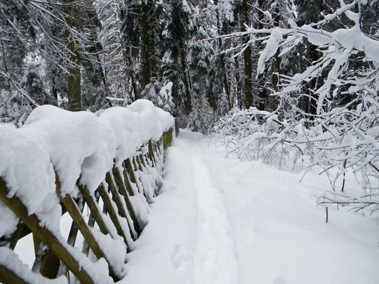 so schön kann Winter sein