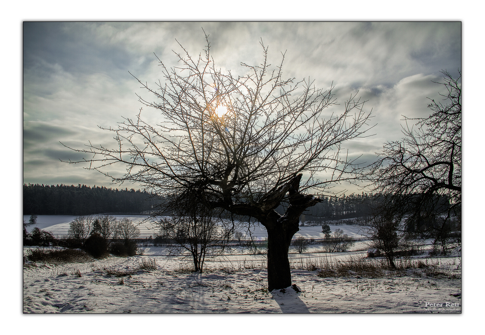 So schön kann Winter sein