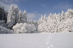 So schön kann Winter sein