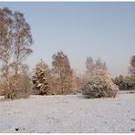 so schön kann winter sein.....