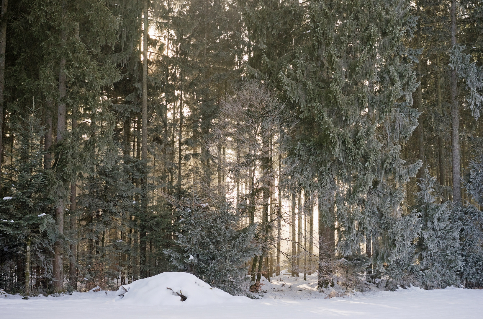 So schön kann Winter sein