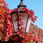 So schön können Straßenlampen sein