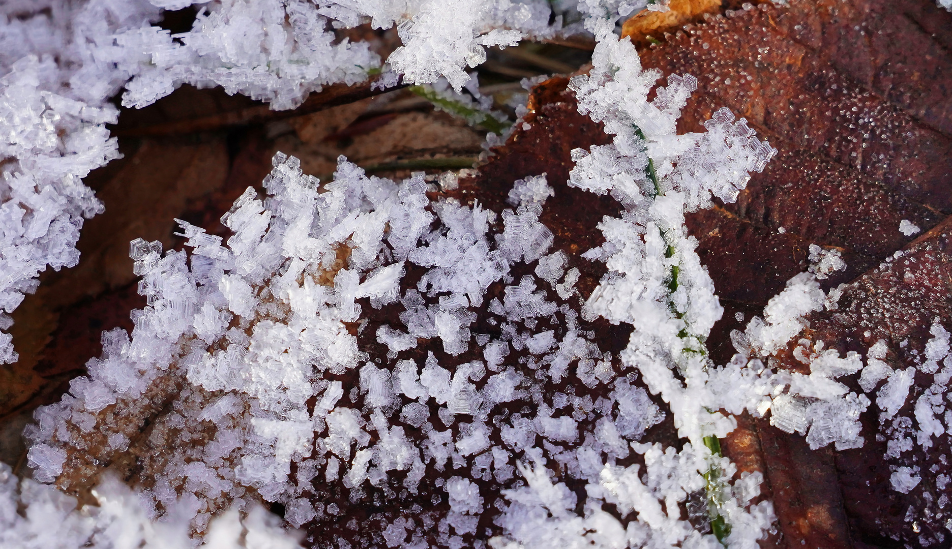 so schön könnte Winter sein