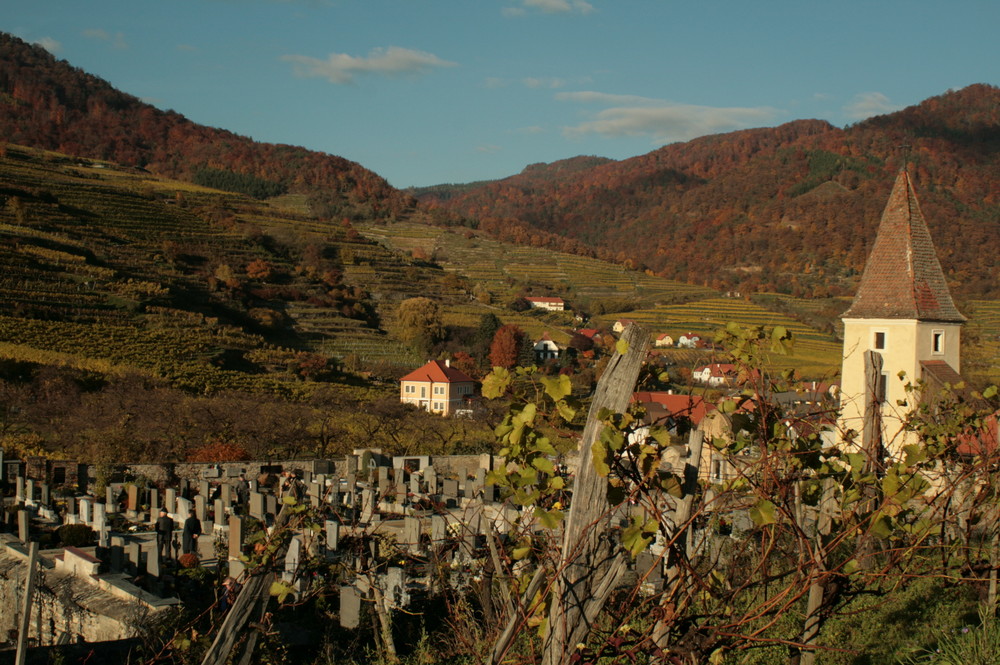 So schön liegt der Friedhof in Spitz, Allerheiligen.