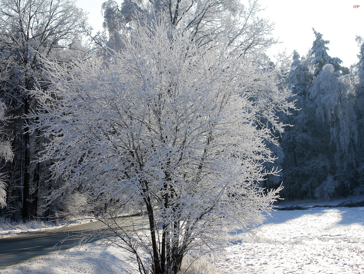 so schön sah es nicht aus, aber es lag bissel Schnee 