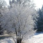 so schön sah es nicht aus, aber es lag bissel Schnee 