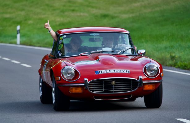 So schön sind Raubkatzen und so viel Spaß macht das Spielen damit ...