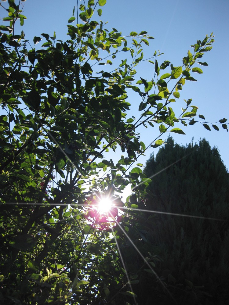 So schön war der Sommer