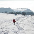 So schön war der Winter....