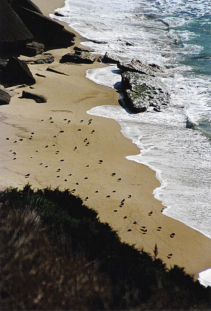 São Sebastião