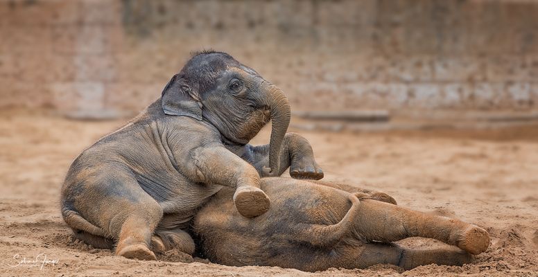 So sehen Sieger aus!