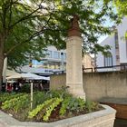 So sehen zur Zeit die Brunnen in Basel aus.