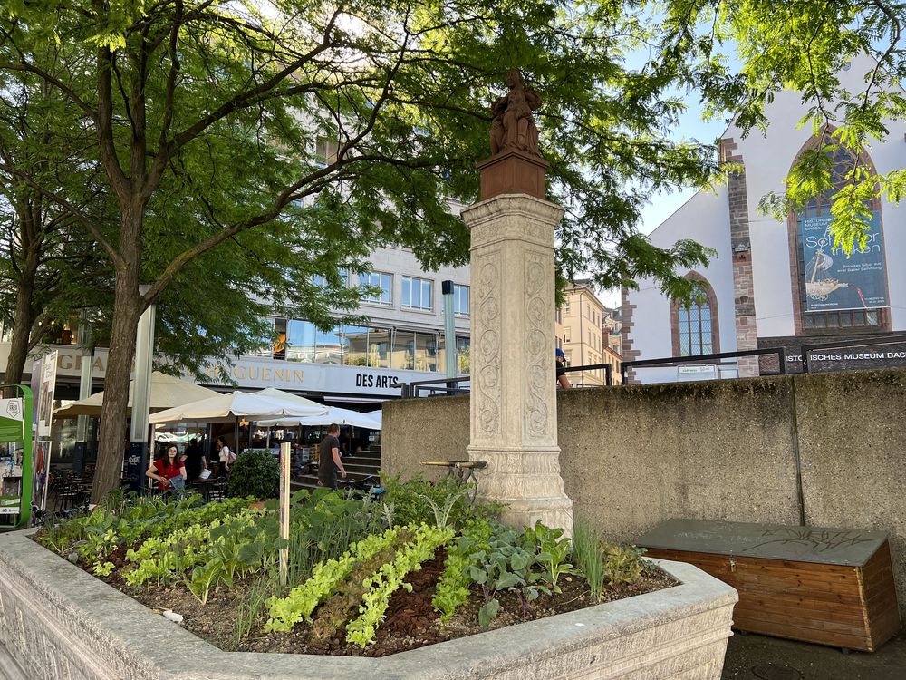 So sehen zur Zeit die Brunnen in Basel aus.