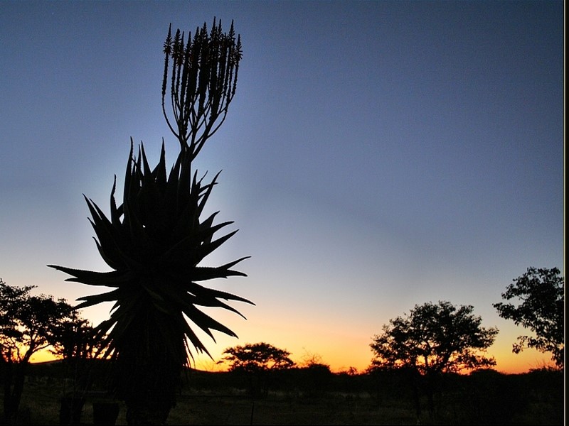 So sieht der Abendhimmel über Namibia aus