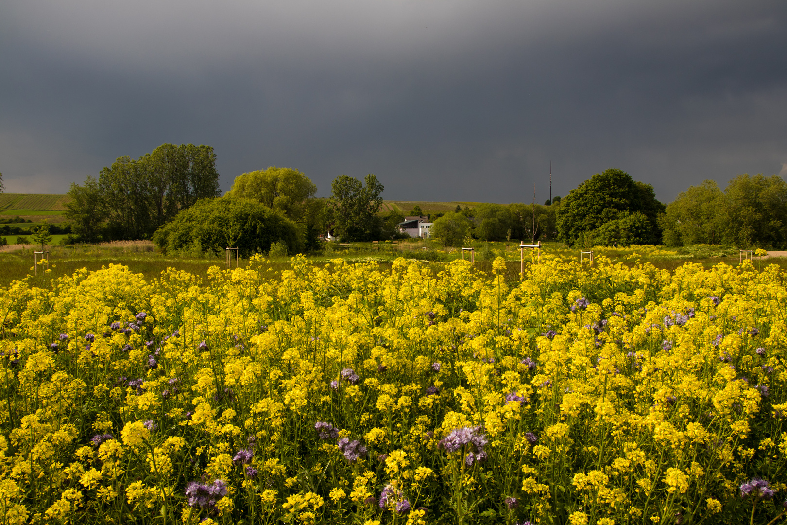 So sieht der Frühling 2019 aus