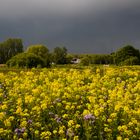 So sieht der Frühling 2019 aus