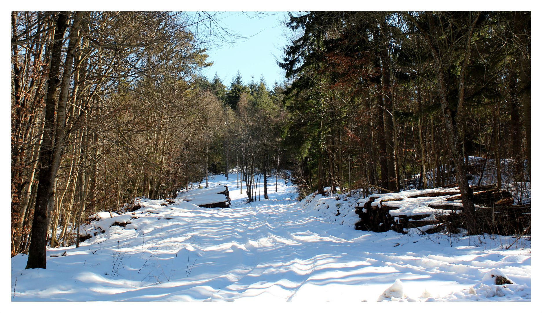 So sieht der Frühling...