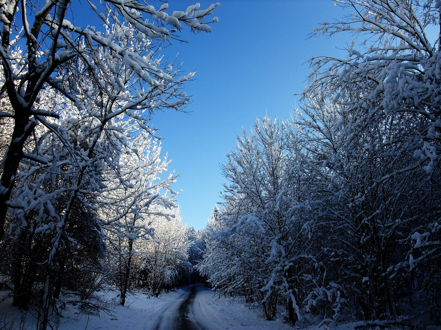 So sieht der Winter aus...