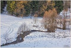 So sieht ein echter Winter aus!