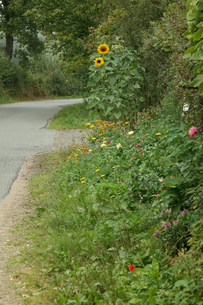 So sieht ein schöner Strassenrand aus