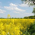 so sieht es hier jetzt überall aus