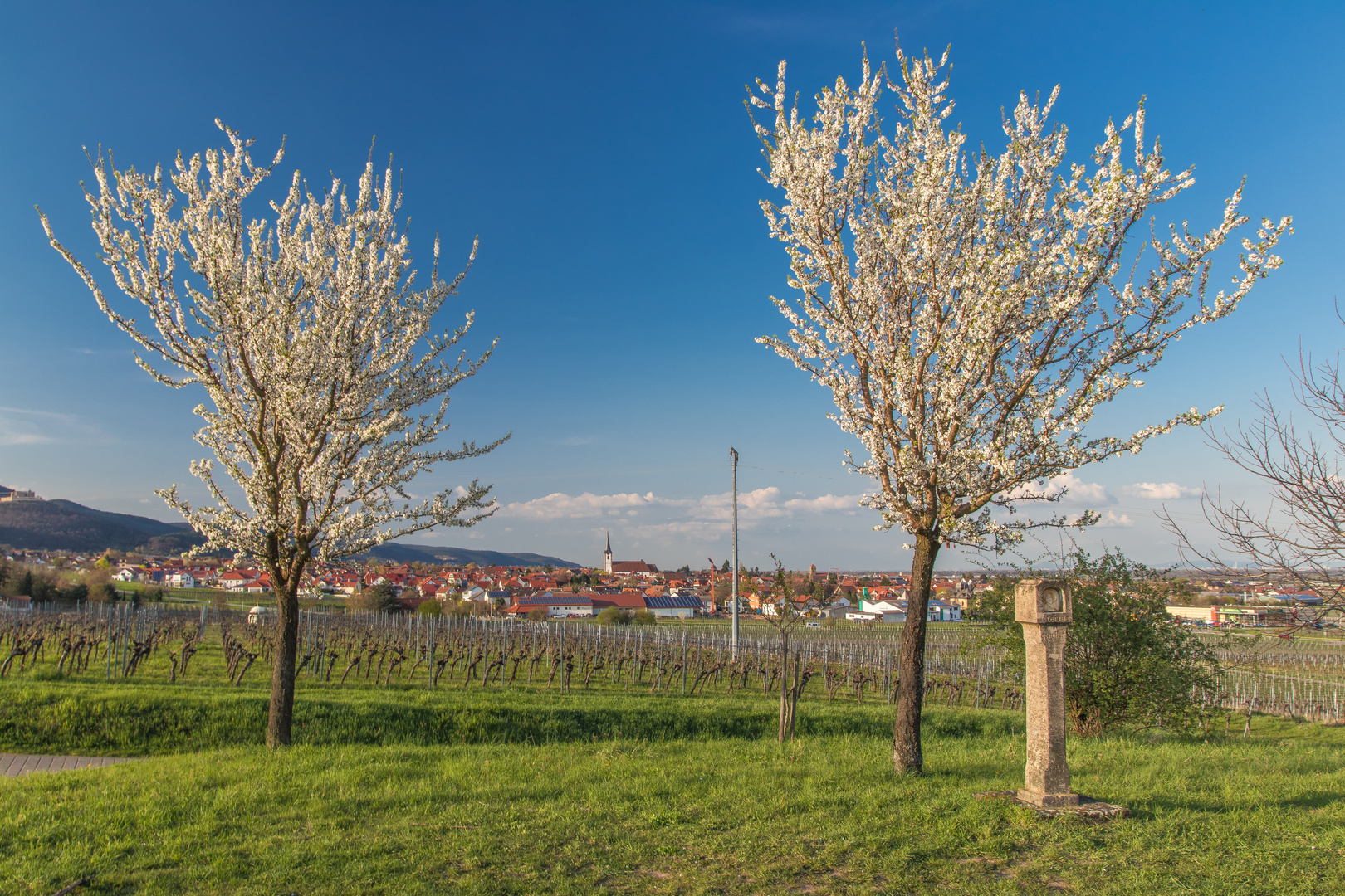 So sieht Frühling aus