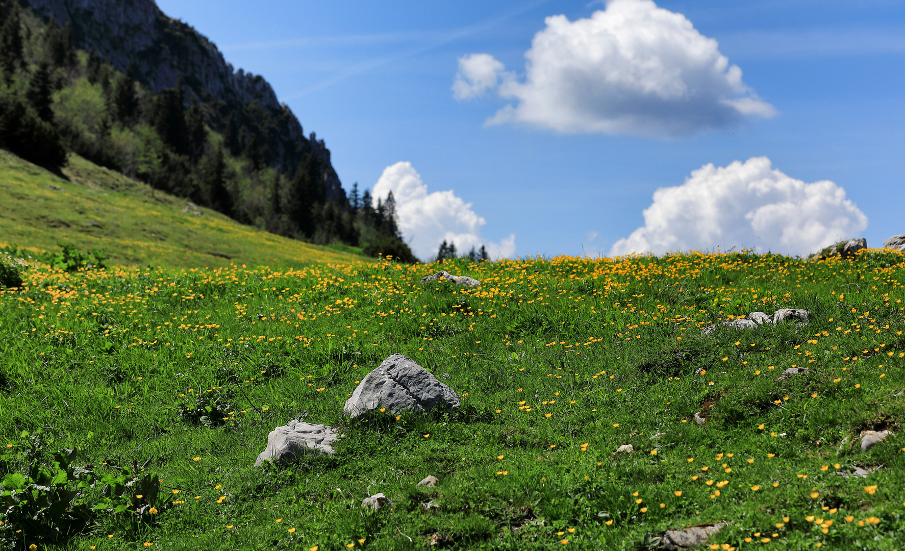 So sieht Frühling aus