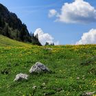 So sieht Frühling aus