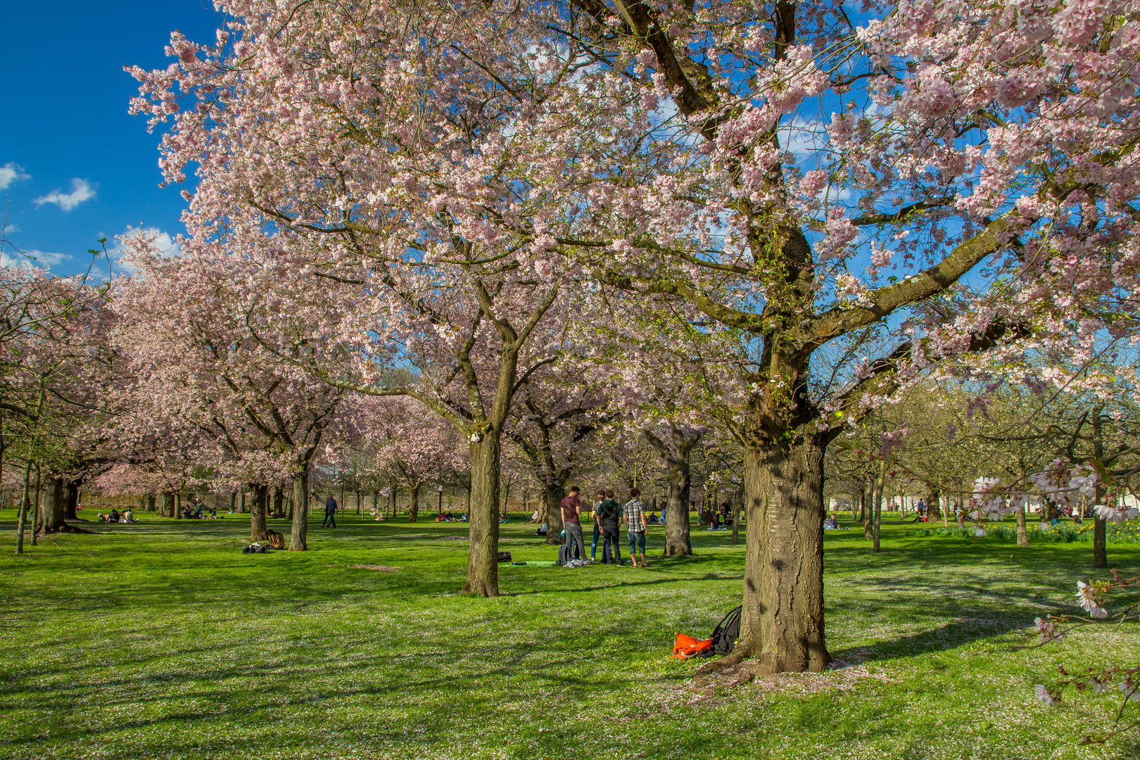 So sieht Frühling aus