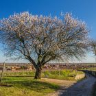 So sieht Frühling aus 